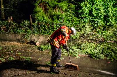 Remshalden-Buoch: Grosse Tanne stuerzt nach Sturm um - Bltze erhellen den Nachthimmel